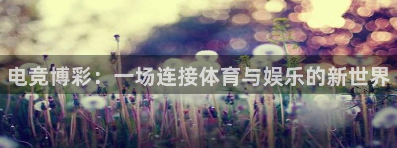 安博电竞怎么登录不了