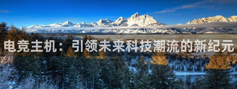 安博电竞打不开：电竞主机：引领未来科技潮流的新纪元