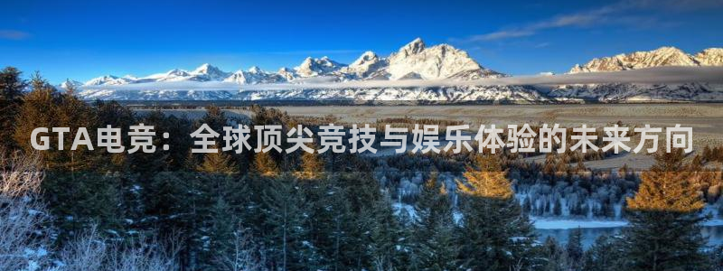 安博电竞APP：GTA电竞：全球顶尖竞技与娱乐体验的未来方向