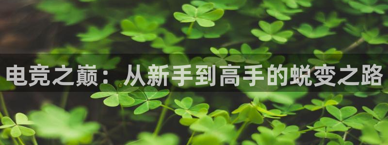 安博电竞下载官网：电竞之巅：从新手到高手的蜕变之路