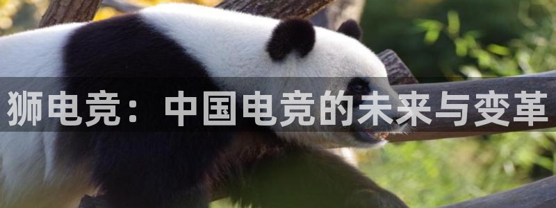 安博电竞app官网下载安装：狮电竞：中国电竞的未来与变革