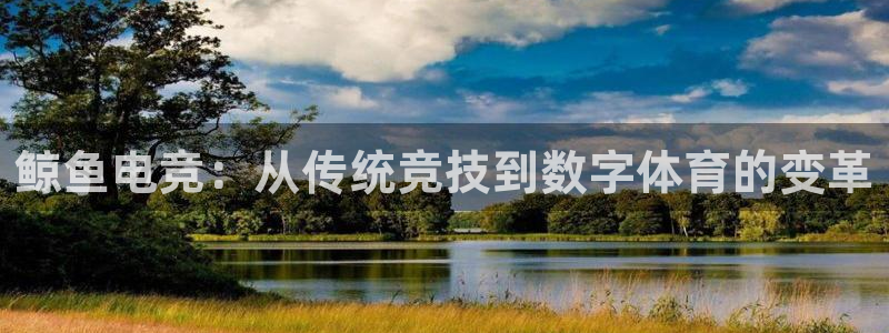 anggame安博电竞：鲸鱼电竞：从传统竞技到数字体育的变革