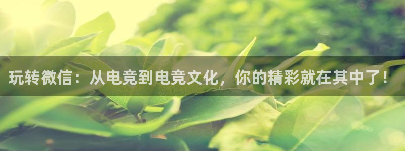 安博电竞入口官网：玩转微信：从电竞到电竞文化，你的精彩就在其中了！