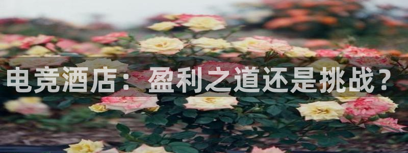 安博电竞网站是什么：电竞酒店：盈利之道还是挑战？