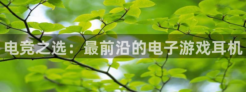 安博电竞网站下载
