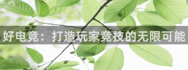 安博电竞首页官网